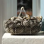 Villa Fleur De Sel *
