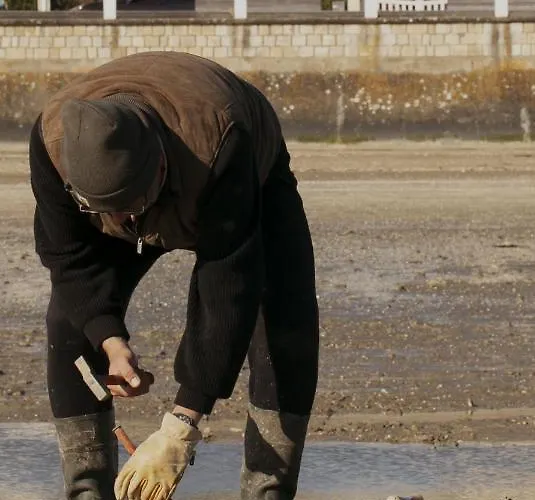 Fleur De Sel Villa Saint-Trojan-les-Bains